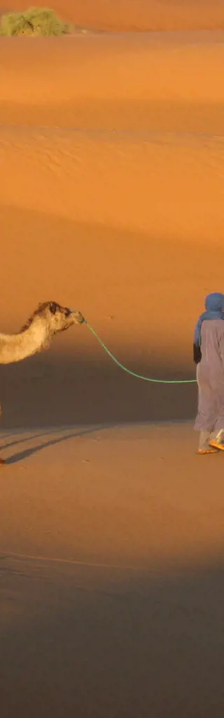 Marokko – Vom Atlas zu den Oasen der Sahara